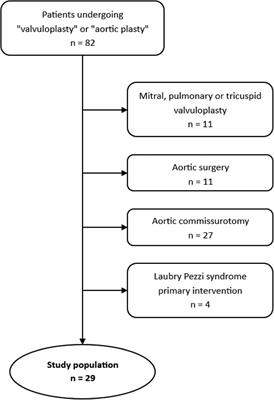 Complex aortic valve repair in congenital patients: clinical feedback